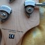 lakland skyline 55-01 Image 6