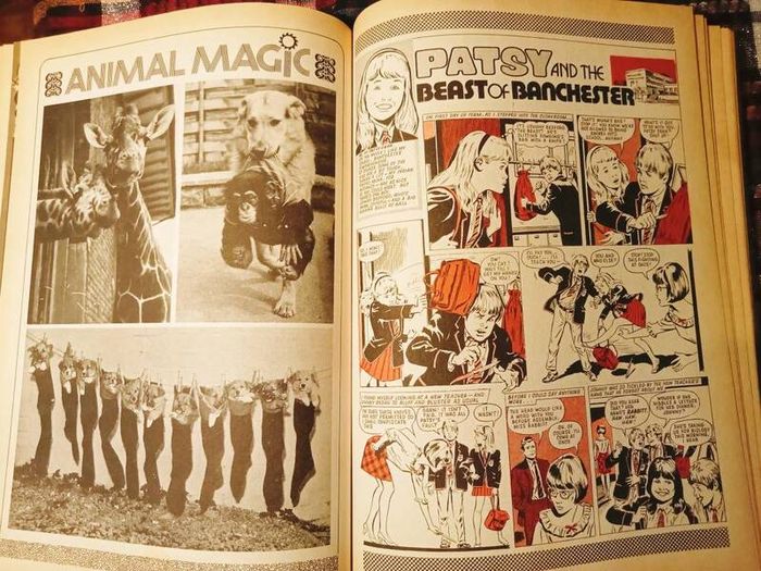 Tammy Annual 1977.