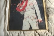 Framed Elvis picture
