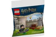 LEGO Harry Potter Quidditch Training (30706)