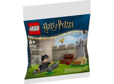 LEGO Harry Potter Quidditch Training (30706)