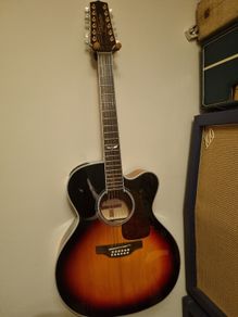 takamine 12 string