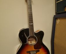 takamine 12 string