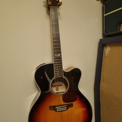 takamine 12 string