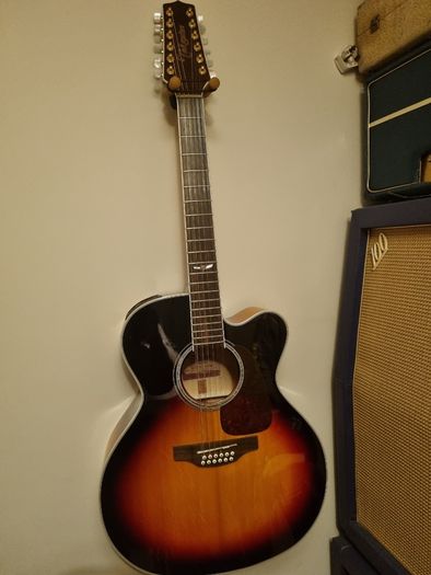 takamine 12 string