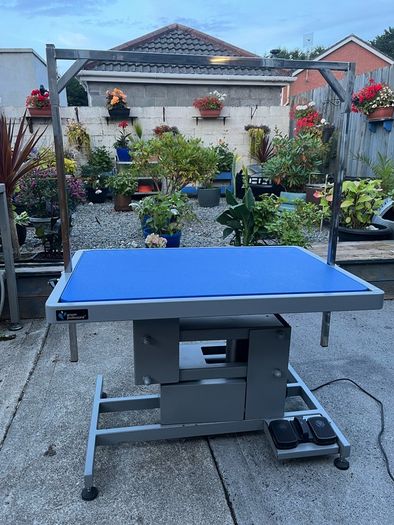 Groom Professional Plata Electric Dog Grooming Table