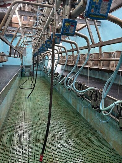 Fullwood milking parlour