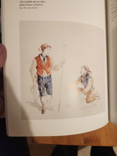The Brocas Collection. An Illustrated Selective Catalogue 0f Original Watercolours, Prints, And Drawings In The National Museum Of Ireland.  By Patricia Butler. First Edition Large Volume Paperback In Good Condition.