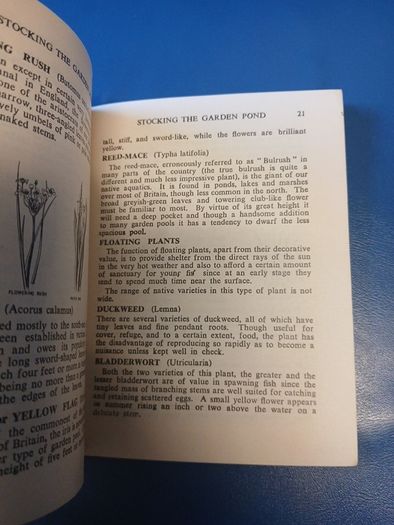Vintage Garden Pond booklet