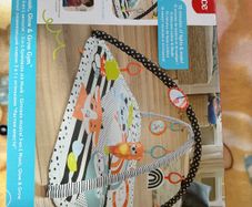 fisher-price play mat