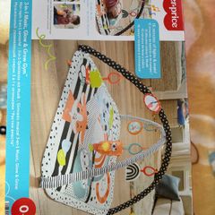 fisher-price play mat