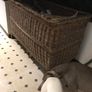 log basket Image 4