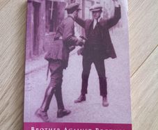 Brother against Brother by Liam Deasy 1998 in good condition FREE STANDARD POSTAGE INCLUDED