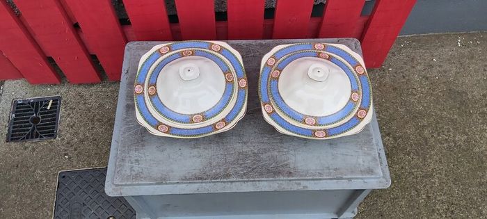 Karmony Shape Rose Pattern Vintage Dinnerware