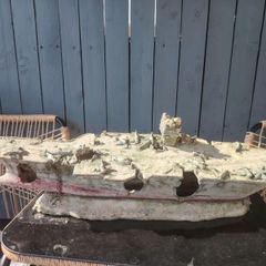 Big ship