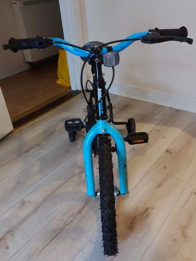 Kids Pedal Pals Street Rider Bike with Stabilizers + Pump