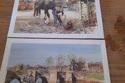 Prints