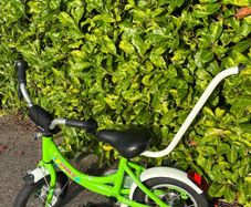 12 inch Bike