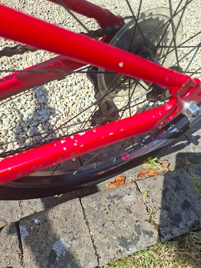 Red Carrera Saruna Junior Hybrid Bike 24 inch Wheels
