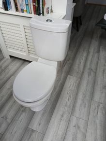 toilet