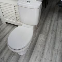 toilet