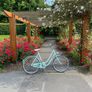 Ladies Bike Image 3