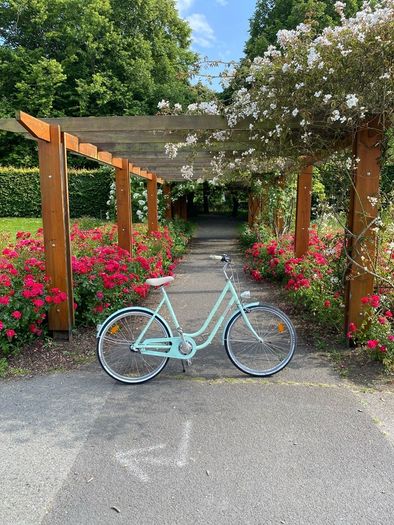Ladies Bike