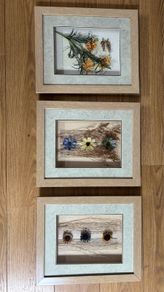 Set of 3 matching frames with dried flowers