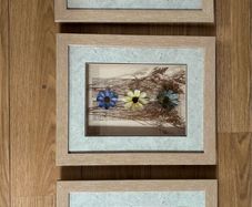 Set of 3 matching frames with dried flowers