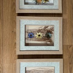Set of 3 matching frames with dried flowers