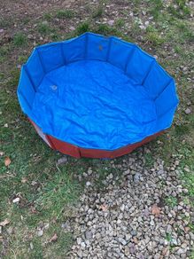 Doggy pool
