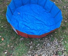 Doggy pool