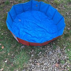 Doggy pool