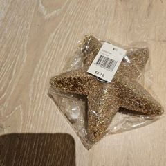 Christmas Star