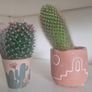 cactus Image 2