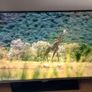 Samsung TV UE40H5000 Image 4