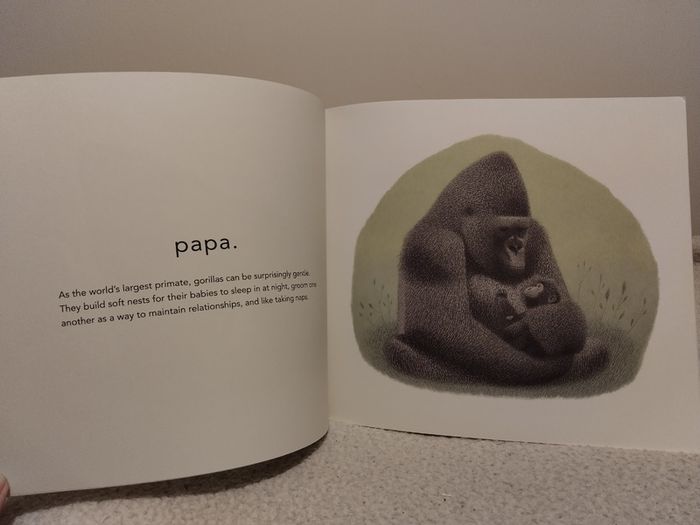 Lovely beasts book by Kate Gardner