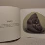Lovely beasts book by Kate Gardner Image 5