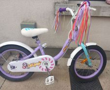 chipmunk lollipop Kids bike size 16 inch wheels