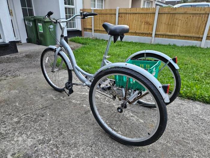Ammacalo Free and Easy tricycle