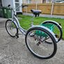 Ammacalo Free and Easy tricycle Image 3