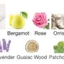 Place des Lices Blanc des Cotons 10ml DECANT Image 2