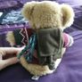 The Bear Collection - Backpacking Travel Bear Image 3