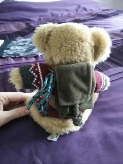 The Bear Collection - Backpacking Travel Bear