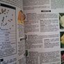The New Vegetable & Herb Expert / Dr. D. G. Hessayon / 1999 Image 6