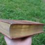 Canterbury Tales by Geoffrey Chaucer Image 7