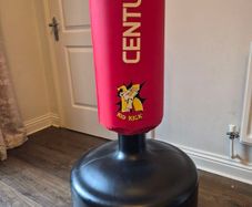 free standing punch bag