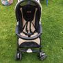 buggy Image 3