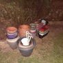 Free planters Image 4