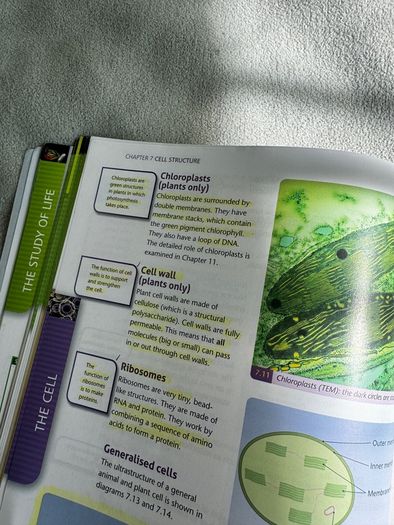 Biology plus leaving certificate text book